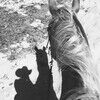 rancherrose
